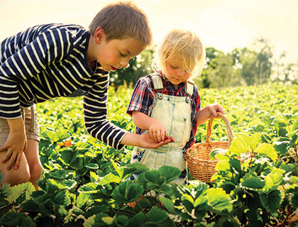 AI in Agriculture