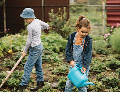 Innovative Farming Techniques