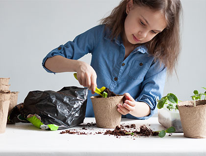 Innovative Farming Techniques