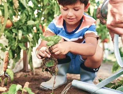 Connecting Agriculture with Technology