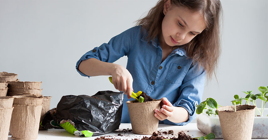 Robot Buddies on the Farm: Tiny Hands Meet Big Machines